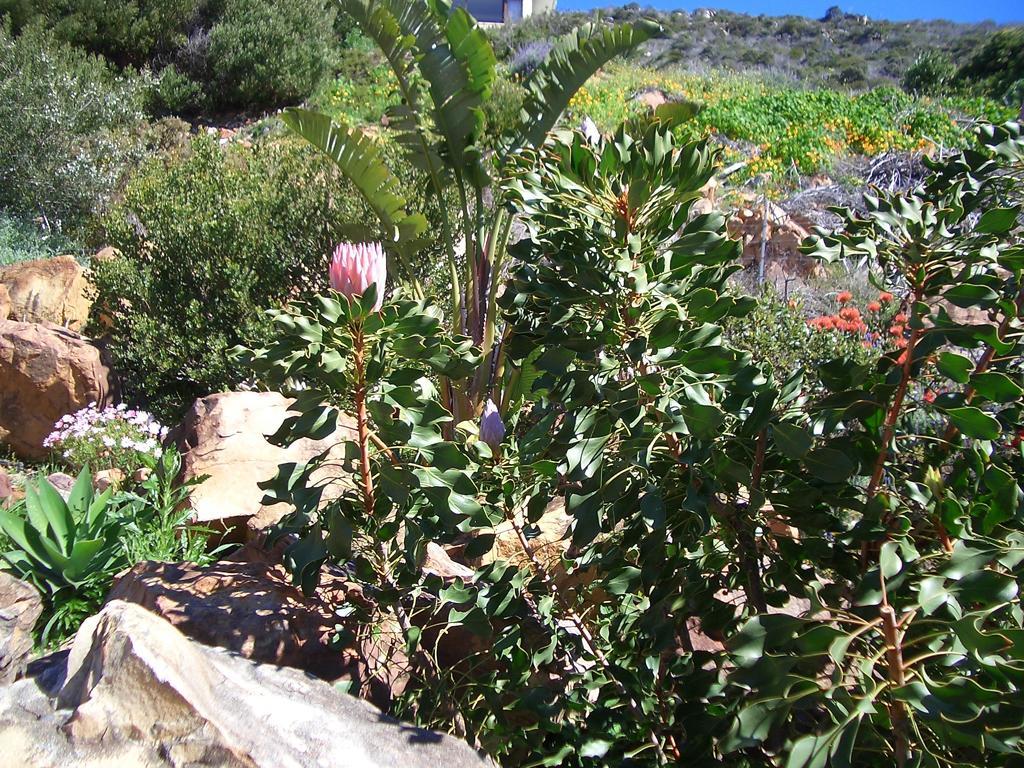 A Place In Thyme Fish Hoek Exterior photo